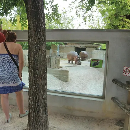 Mery * Lignano Sabbiadoro